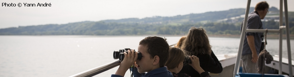 Photo Observateurs eu herbe